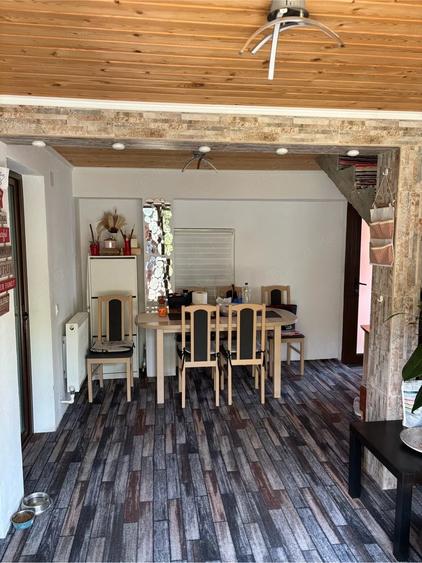 casa , curte , livada cu pomi fructiferi. zona langa padure , aproape de intratea pe autostrada. - 6