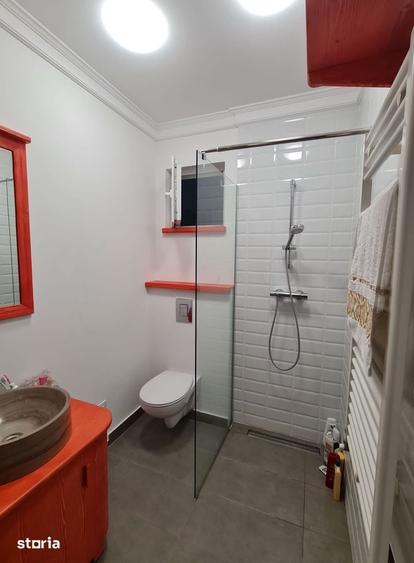 Inchiriez apartament 1 cam ultracentral - 2