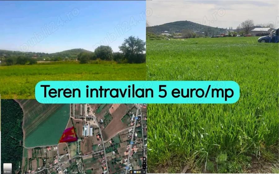 Teren de 7000 mp, în Telița