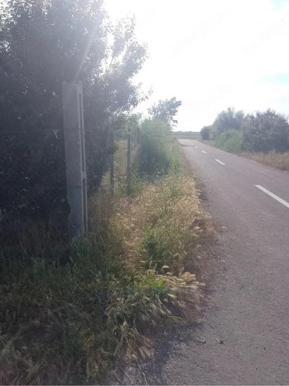 Teren de 1000 mp, în Măicănești