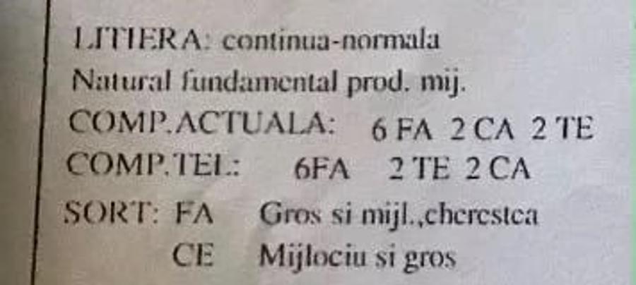 Teren de 100000 mp, în Ohaba-Mâtnic