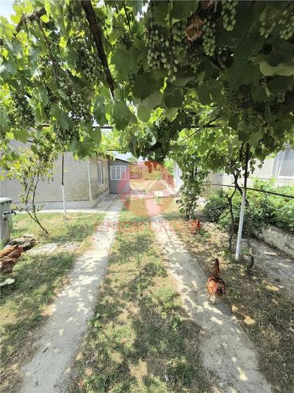 Casă cu 2 camere cu Teren 988 Mp în Vadu