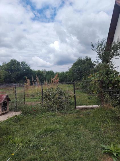 Casă cu Teren 2000 Mp în Vânători-Neamț