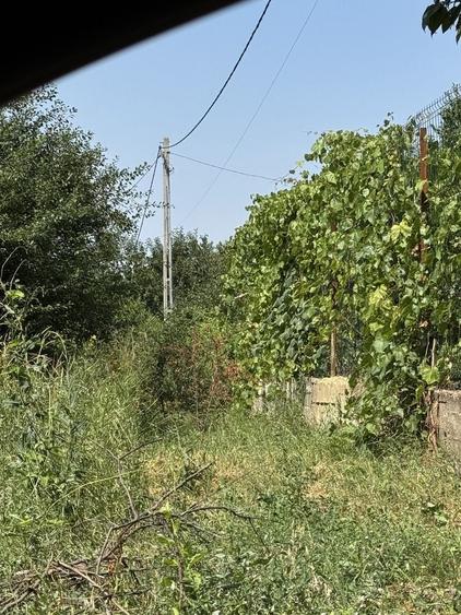 Spațiu comercial, în Tomești