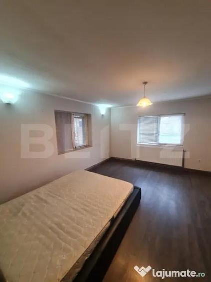 Casa individuala si 5.500 mp de teren intravilan, loc. Sanpa - 12