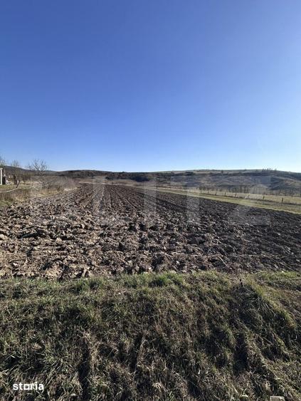 Teren de 5800 mp, în Central