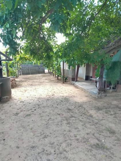 Casă cu 2 camere în Voivozi (Șimian)