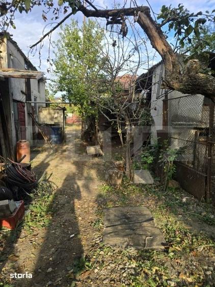 Casă cu 3 camere cu Teren 6800 Mp în Ulmi