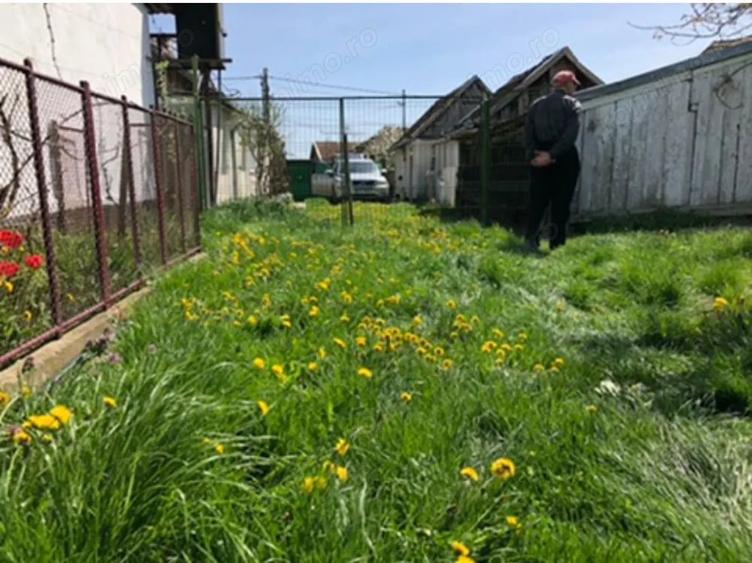 Casă cu Teren 3000 Mp în Ianoșda