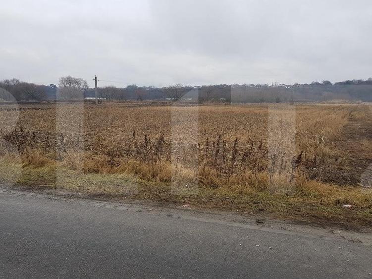 Teren Construcții intravilan de 4000 mp, în Jucu
