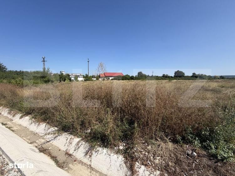 Teren de 15000 mp, în Dănești