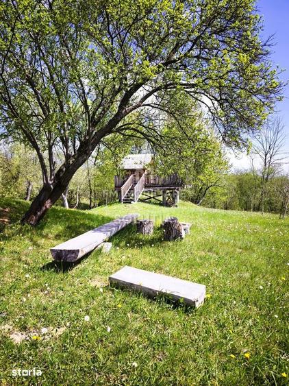 Pensiune agroturistica de vanzare | Dese?ti Maramure? - 2