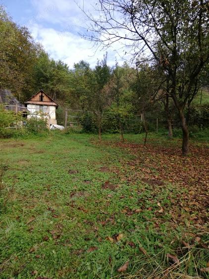 Teren de 11650 mp, în Valea Borcutului