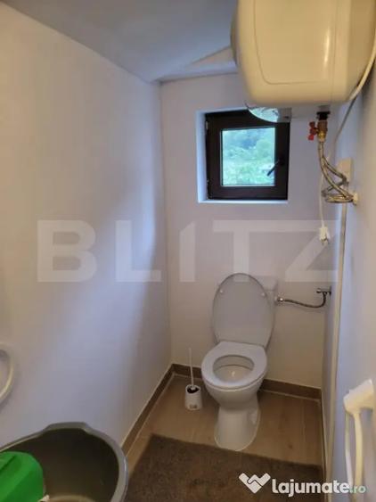 Casă cu 5 camere cu Teren 48000 Mp în Glodghilești