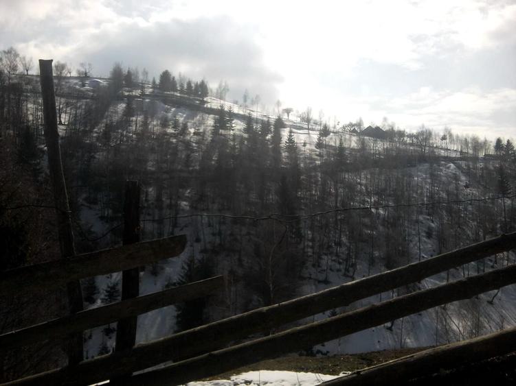 Teren Construcții intravilan de 14000 mp, în Bran
