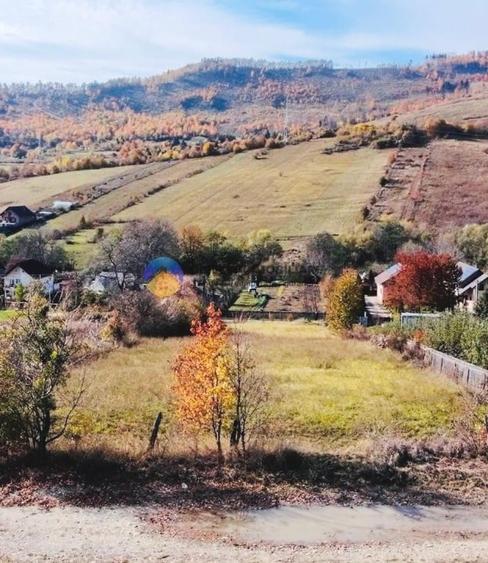 TEREN intravilan 2200 mp GÂRCINA, langa PIATRA-NEAMT - 3