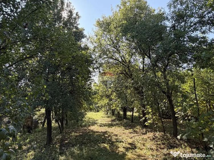 Casă cu 2 camere cu Teren 1500 Mp în Bârgău