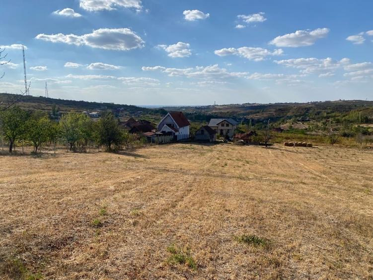 Teren intravilan de vânzare – 6.937 m² | Strada Sofiei, Oradea - 5