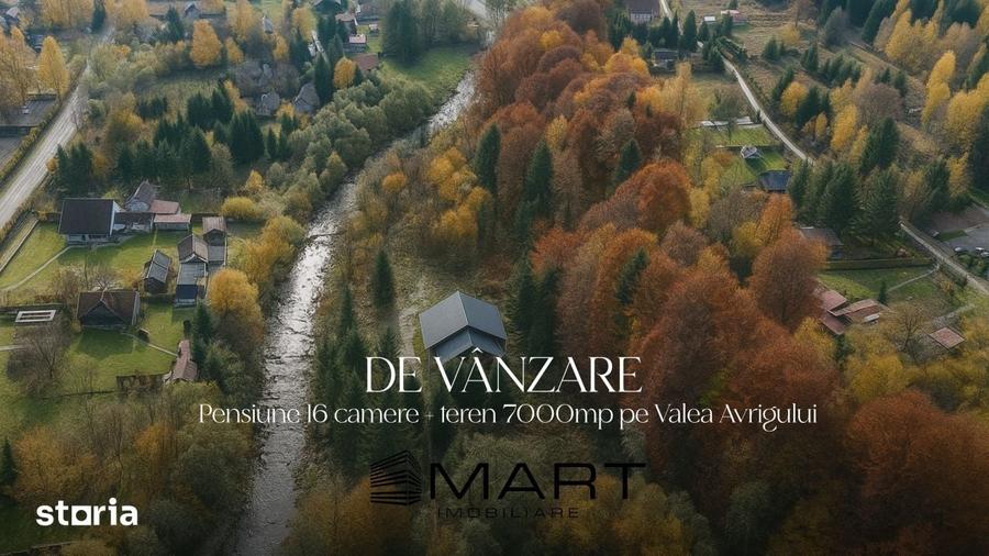 Casă cu Teren 7000 Mp în Central