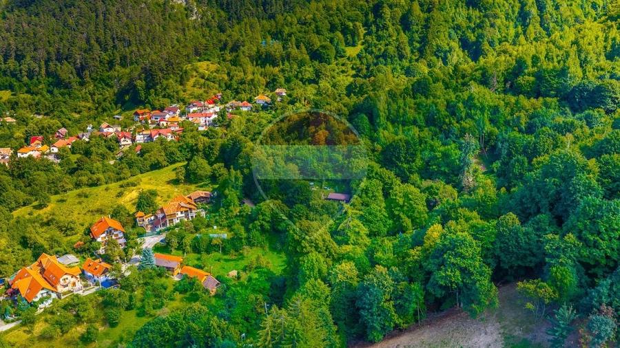 Teren Construcții intravilan de 3094 mp, în Schei