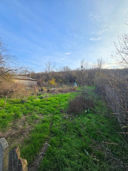 Teren agricol intravilan de 2458 mp, în Bulbucata