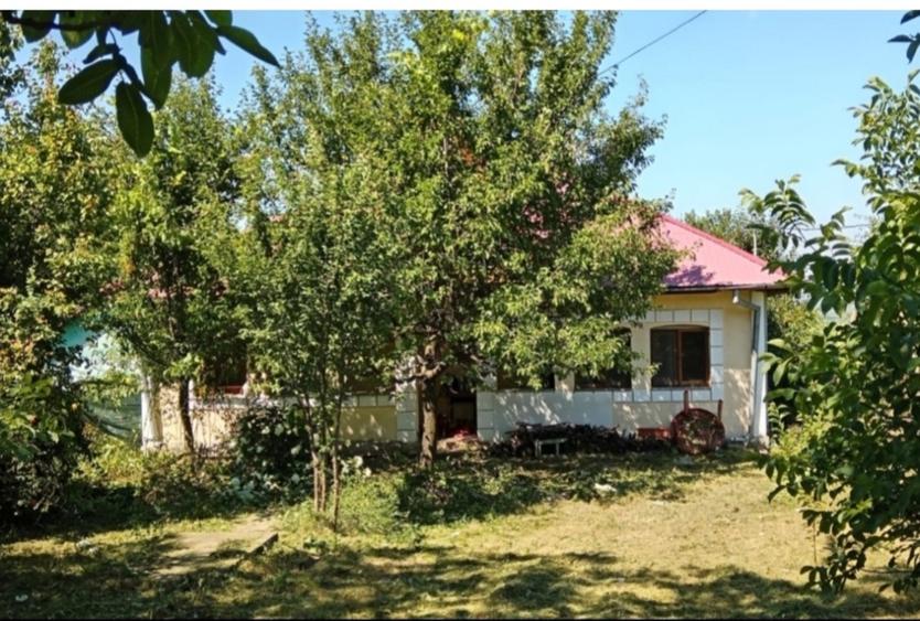 Casă individuală cu 4 camere cu Teren 2780 Mp în Ciurea