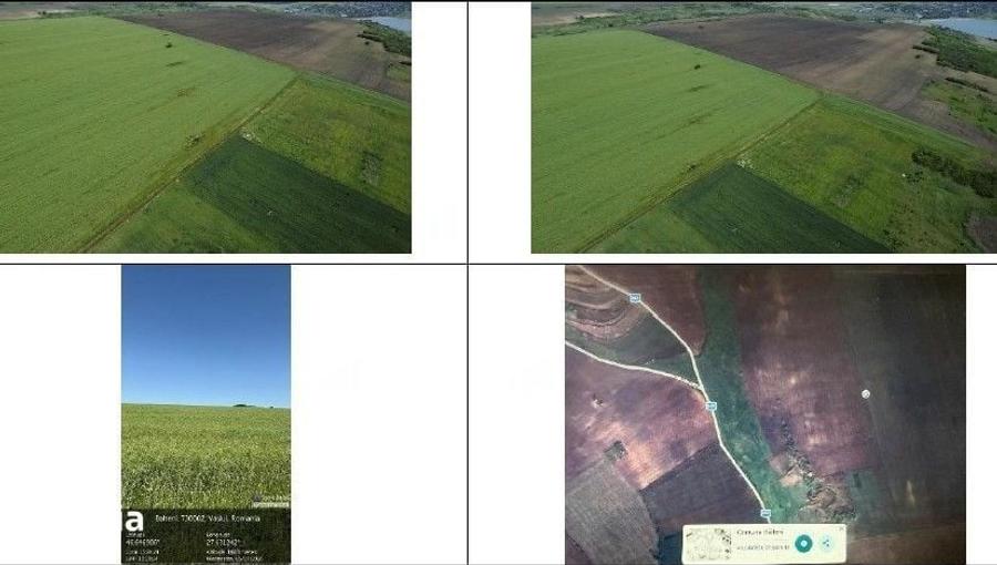 Teren de 4300 mp, în Bălteni