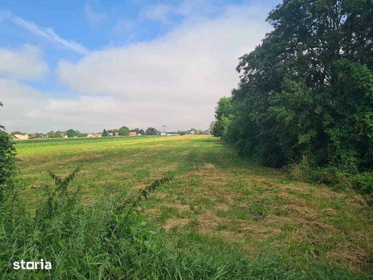 Teren de 1171 mp, în Stupini