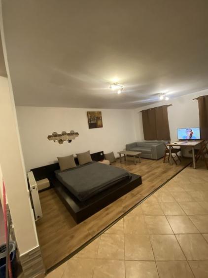 Apt. Cu o camera openspace 36 mp. in Buna Ziua (str. Mircea zaciu 20)cu CT proprie - 11