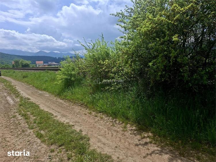 Teren extravilan de vanzare Talmaciu - 4