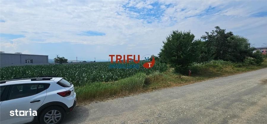 Teren Intravilan Soseaua De Centura !3500mp - 3
