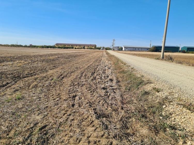 Teren de 66400 mp, în Biharia
