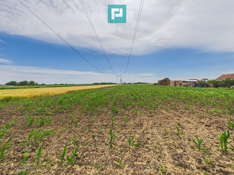 Teren agricol extravilan de 10000 mp, în Gai