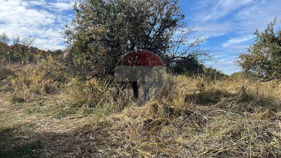 Teren agricol extravilan de 2900 mp, în Gheorghieni