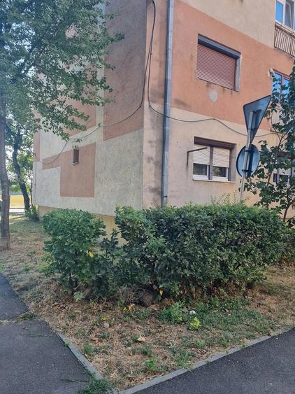Apartament cu 3 camere decomandat în Carpați 2
