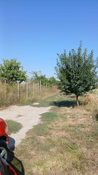 Teren în Domnești