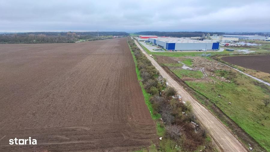 Teren de 10000 mp, în Găneasa