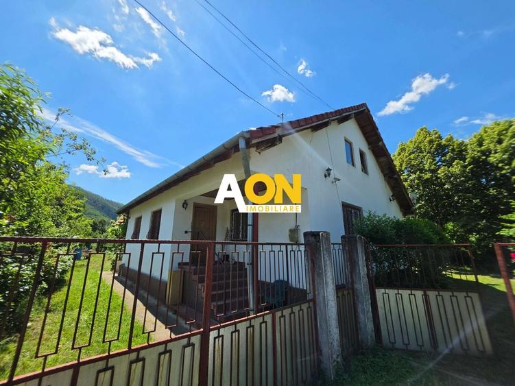 Casă individuală cu 3 camere cu Canalizare în Pianu de Sus