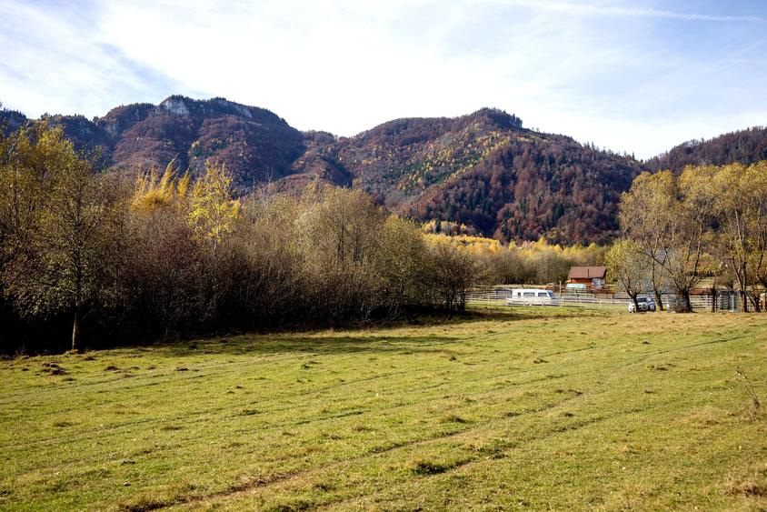 Teren Construcții intravilan de 2500 mp, în Tohănița