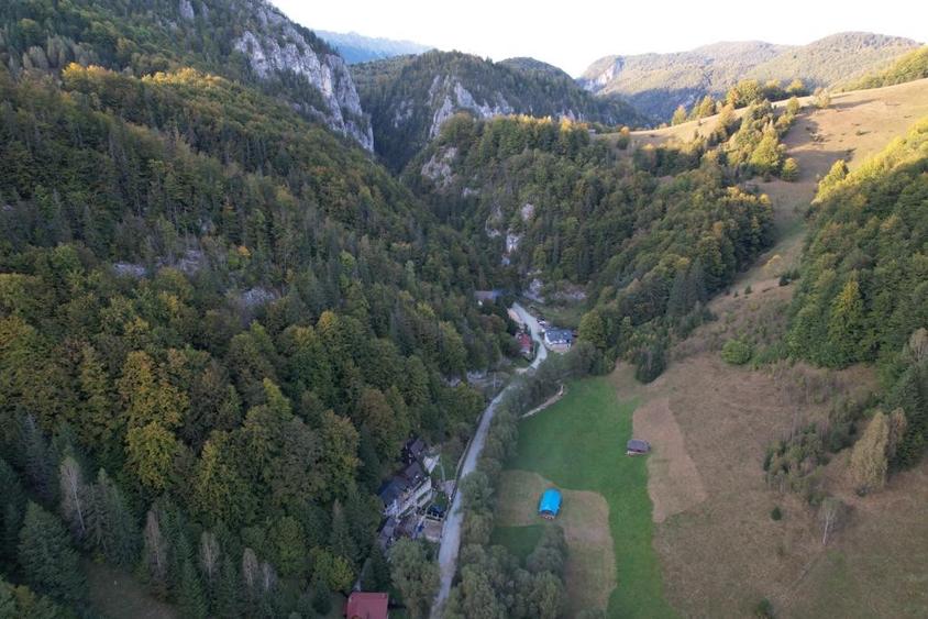 Casă individuală cu 10 camere cu Piscina în Dâmbovicioara