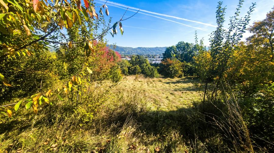 Teren Construcții intravilan de 1600 mp, în Capul Câmpului