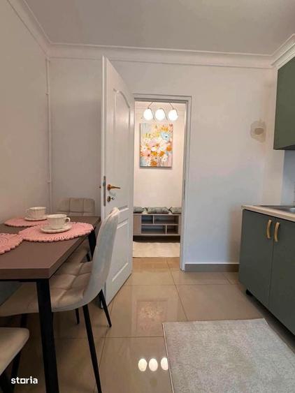 De vanzare apartament cu 2 camere si 2 balcoane,renovat,mobilat 58500e - 14