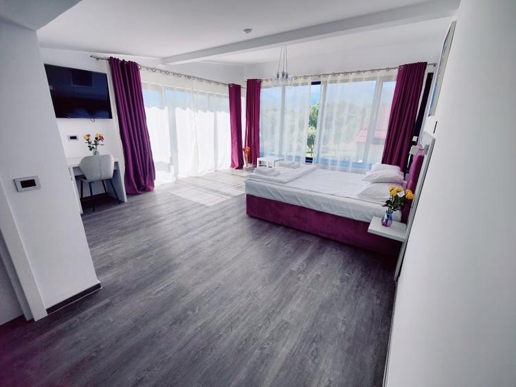Casă individuală cu 10 camere cu Teren 4600 Mp în Central