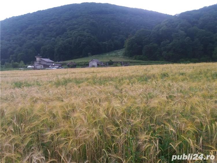 Teren de 200 mp, în Sărățel