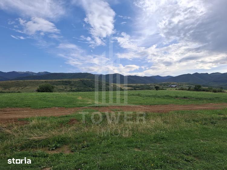 Teren de 1500 mp, în Orlat
