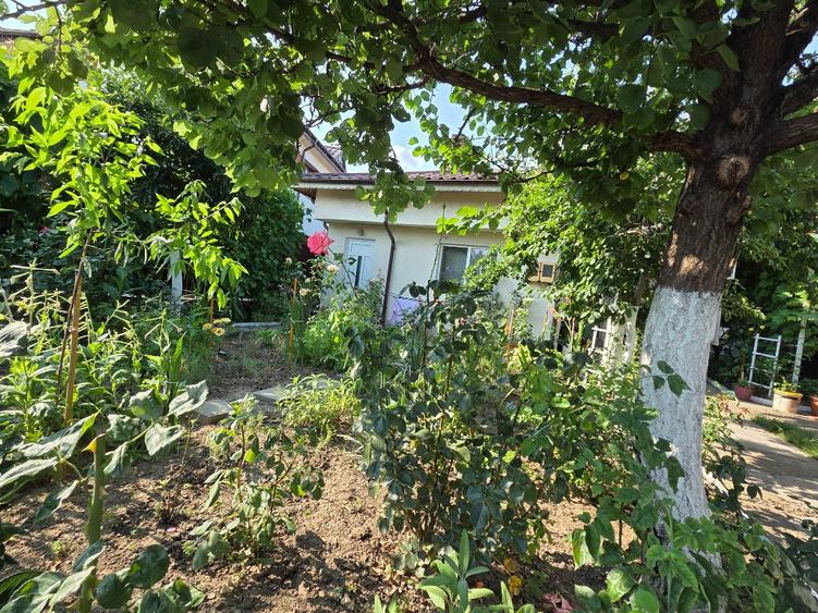 Casă cu 3 camere cu Teren 497 Mp în Bahne