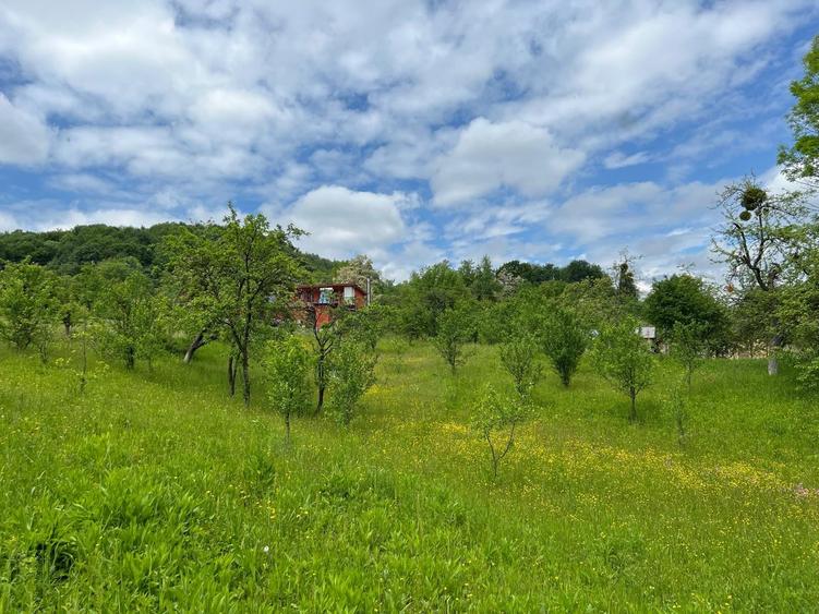 Teren Construcții intravilan de 4200 mp, în Ocina de Sus