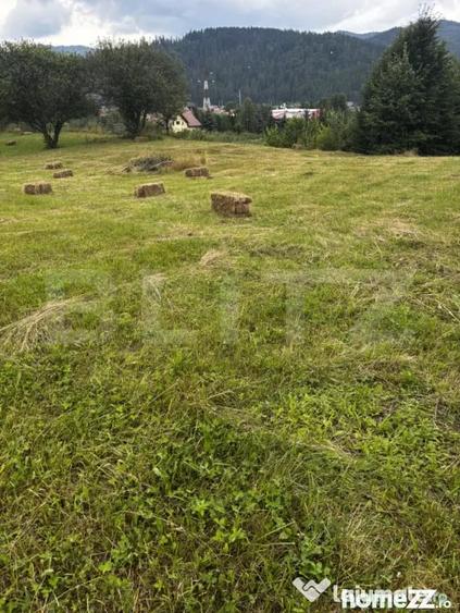 Teren intravilan, Buc?oaia - Frasin, 9000 mp - 2