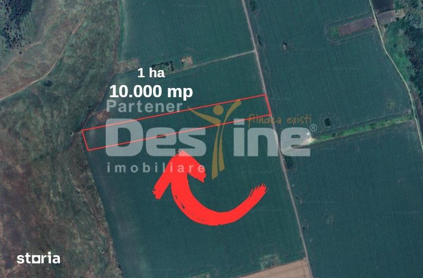 Teren de 10000 mp, în Valea Lupului