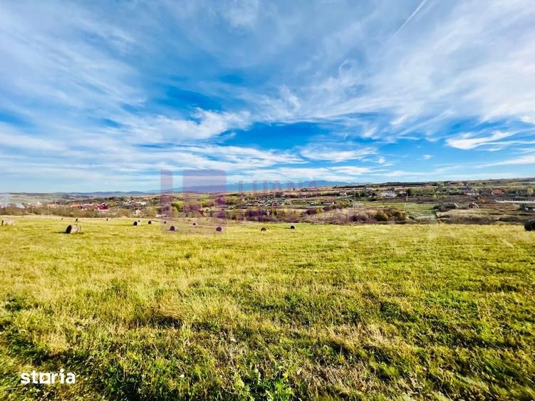 Teren de 1500 mp, în Roșia